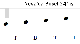 Nevada Buselik
