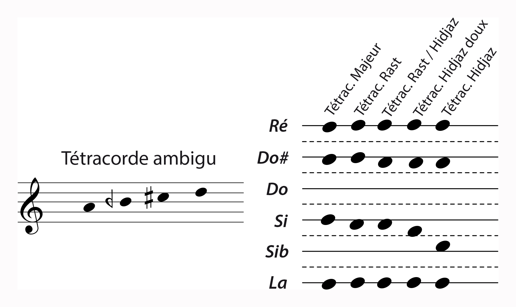 Teutracordes ambigus